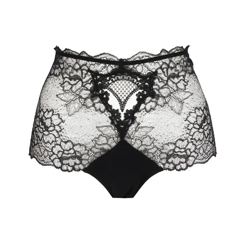 Lise Charmel Sublime en Dentelle Lace Retro Brief